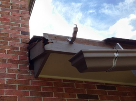 Camberwell Carpenters Exterior 11